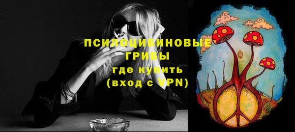 синтетический гашиш Алексеевка