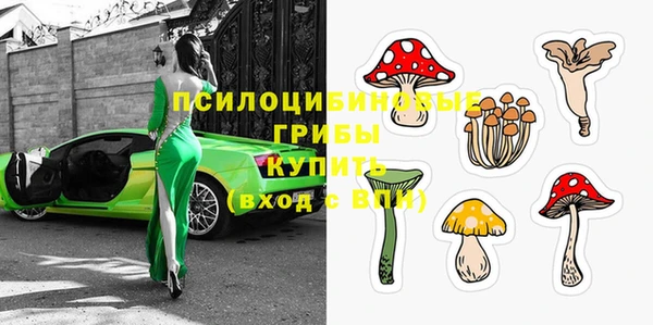 экстази Алексин