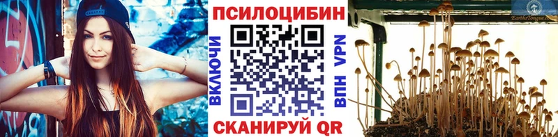 Псилоцибиновые грибы Cubensis  Заволжск 